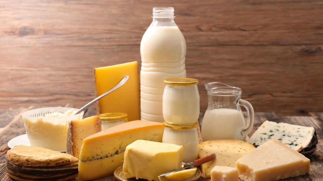 Dairy 2 Dairy 2